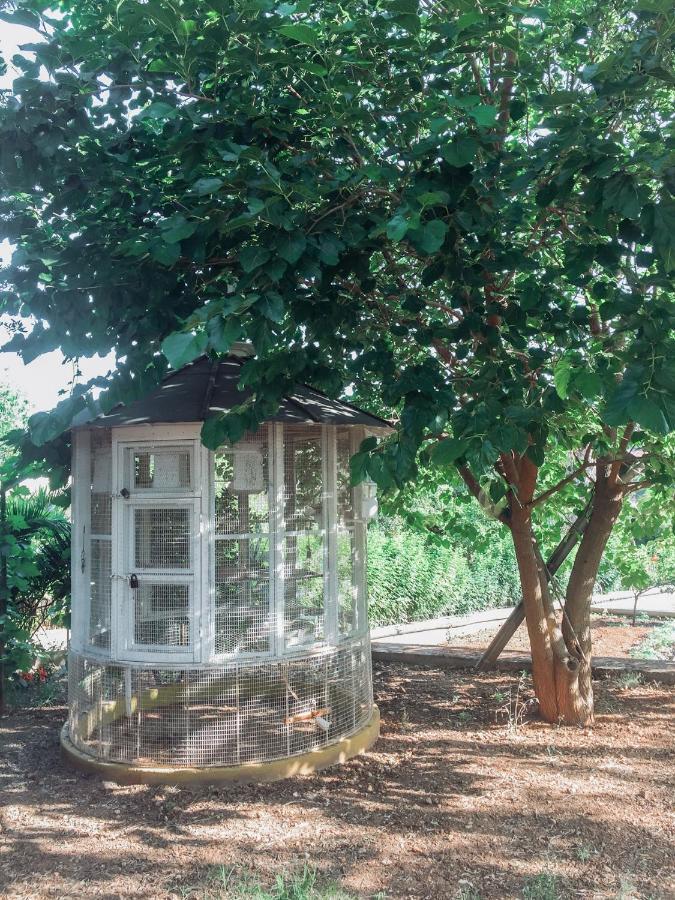 Agrilia Maison Razáta المظهر الخارجي الصورة